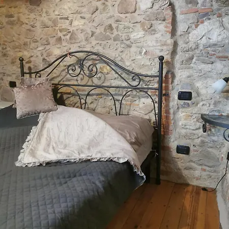 Casa Old Olive *