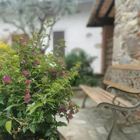 Casa Old Olive Σπίτι διακοπών
