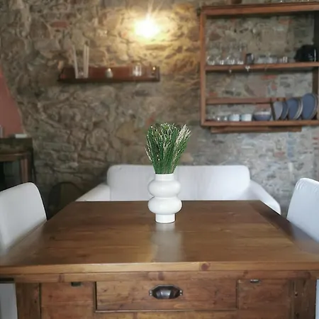 Casa Old Olive *