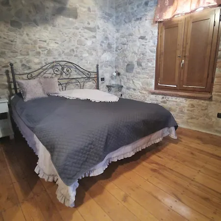 Casa Old Olive